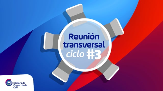 ¡Así vivimos nuestra reunión transversal ciclo n°3!