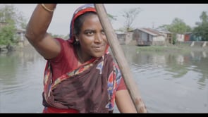 SUNDARBANS, le dernier royaume du Tigre