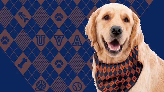 Uva 2025 dog bandana