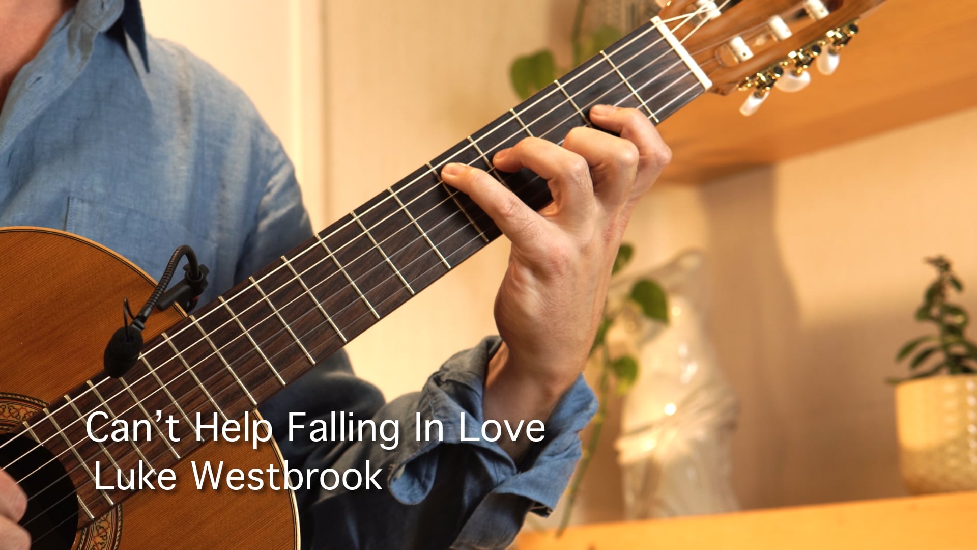 Promotional video thumbnail 4 for Luke Westbrook - Solo Guitar