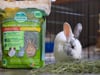 Hay Blends - Western Timothy & Orchard Grass For Small Animals thumbnail number