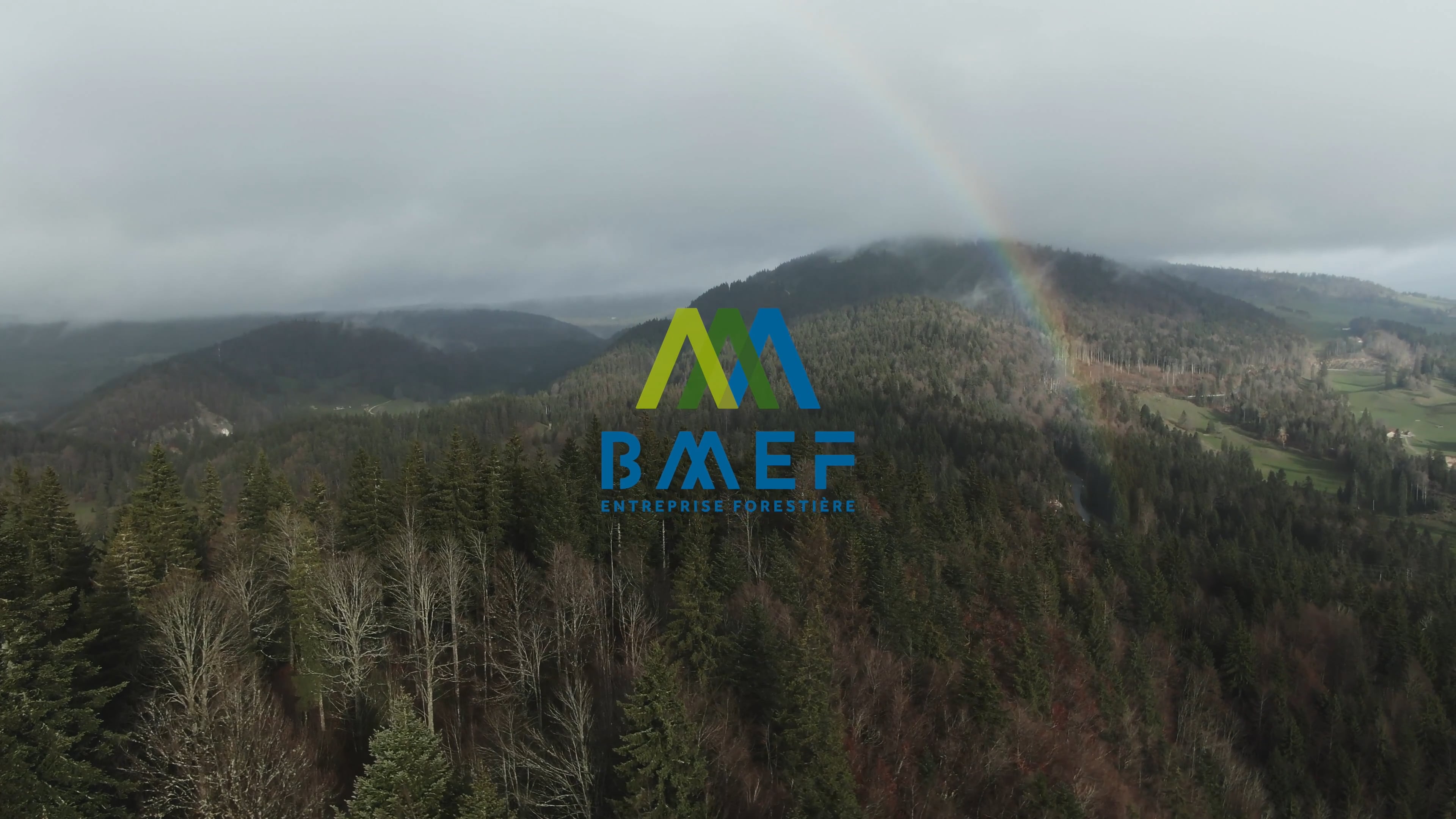 BMEF SA - Entreprise forestière