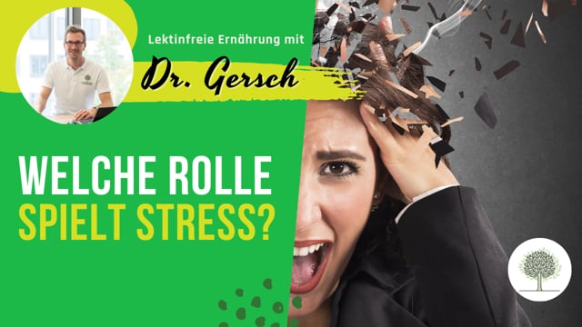 Welche Rolle spielt Stress in Bezug auf die Darmgesundheit?