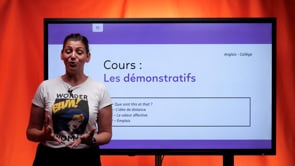 video : les-pronoms-demonstratifs-3907