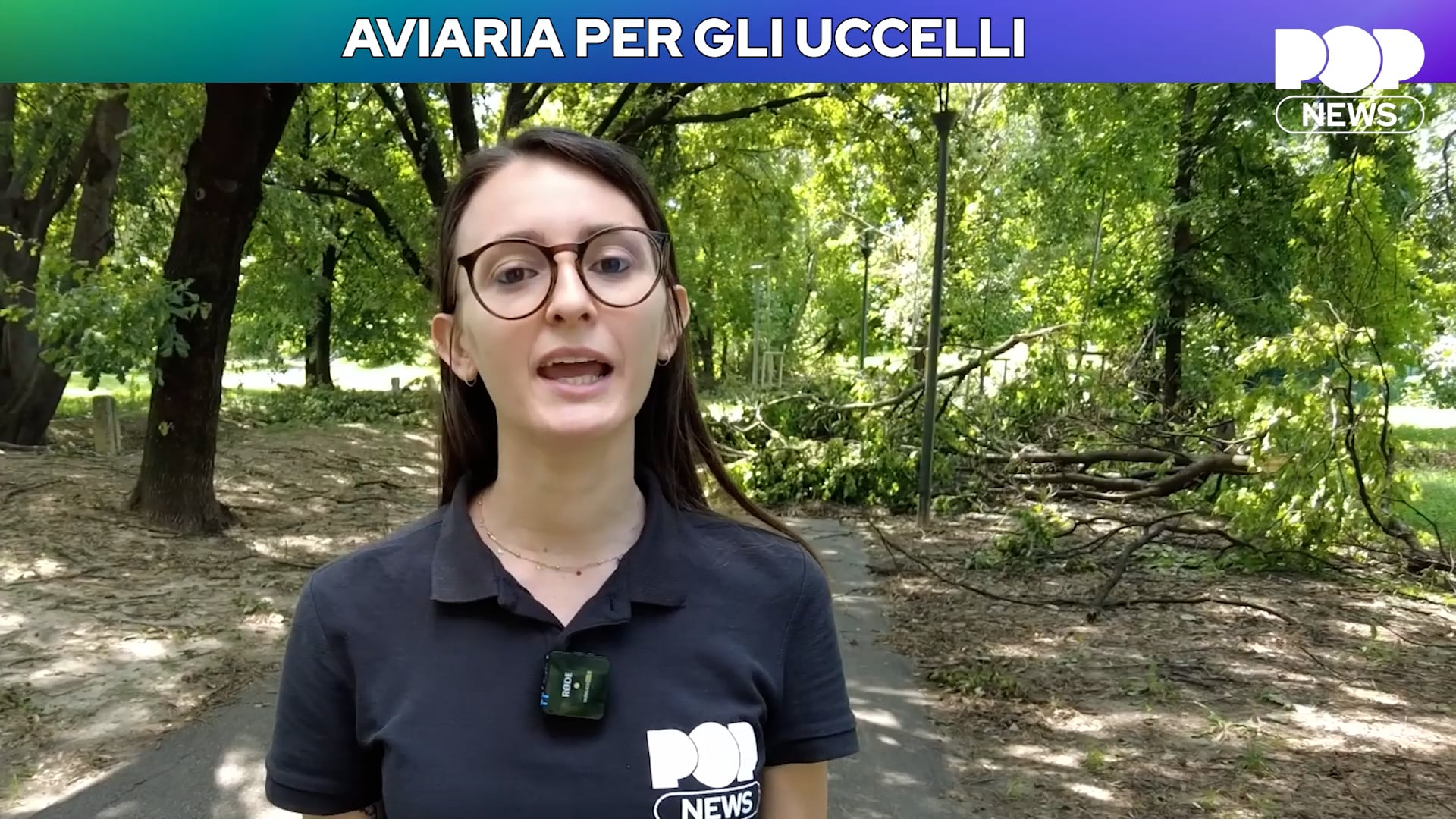 video