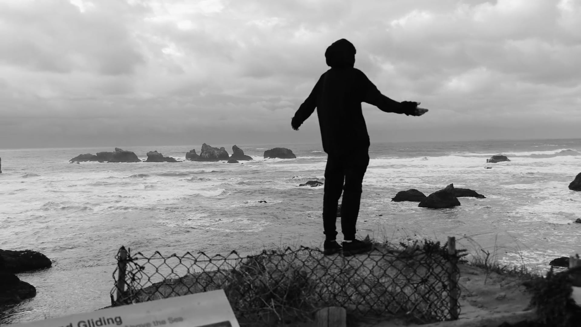 Lifestyle Video
