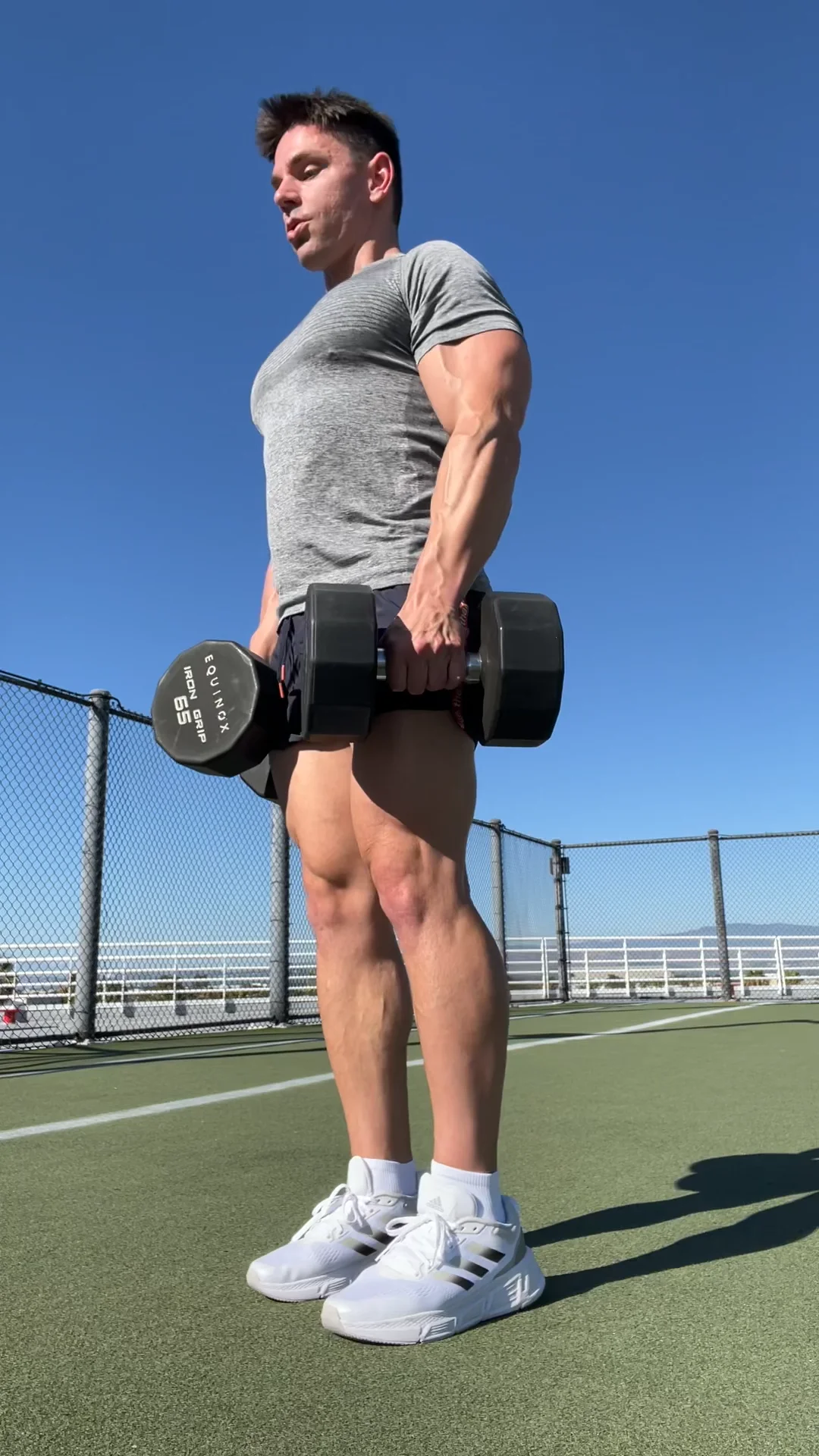 Dumbbell RDL