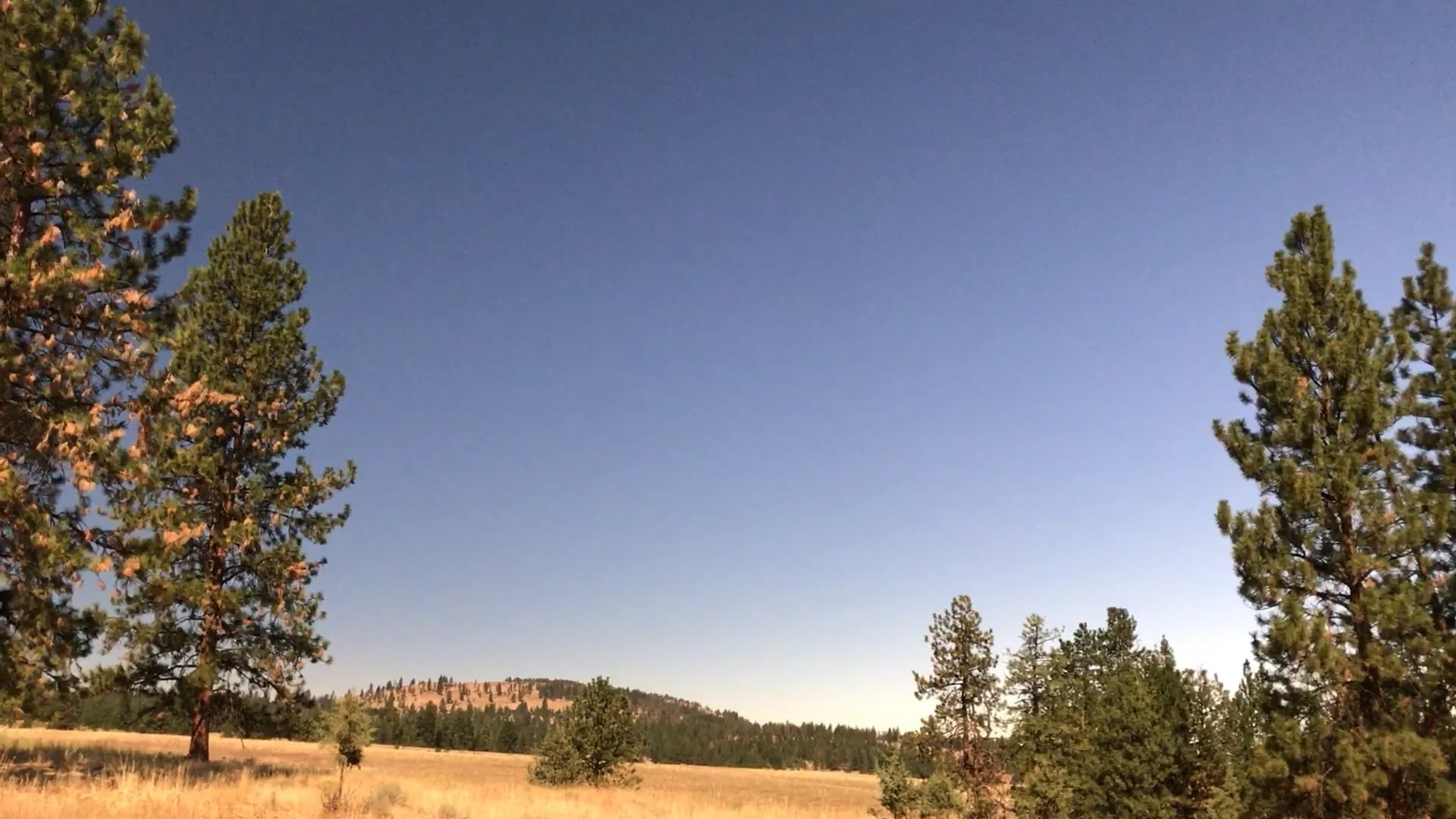 2017 Eclipse on Vimeo