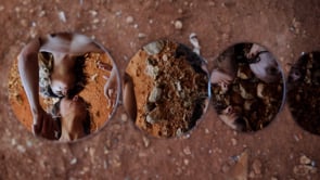 Naked Visions on Vimeo