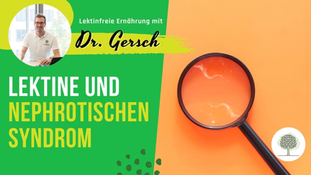 Spielen Lektine bei einem nephrotischen Syndrom aufgrund einer Minimal-Change-Glomerulonephritis eine Rolle? 