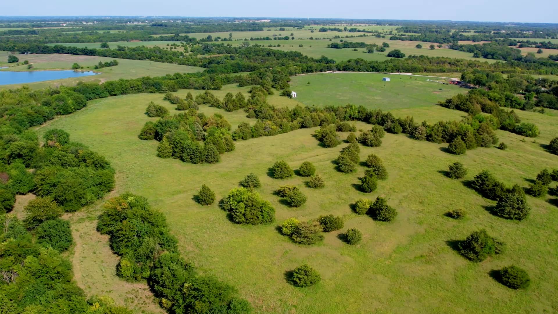 County Road 2905, Dodd City, TX 75438 on Vimeo