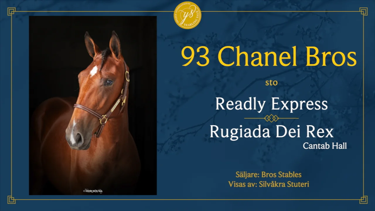 Solvalla Yearling Sale 2023 93 Chanel Bros on Vimeo