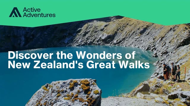 Discover the Wonders of New Zealand's Great Walks with Active Adventures
