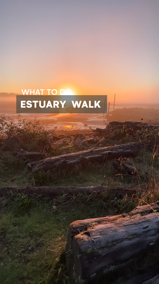Estuary Walk