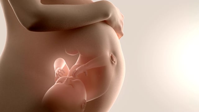 ventre de femme enceinte d'une femme noire 5260356 Photo de stock chez  Vecteezy