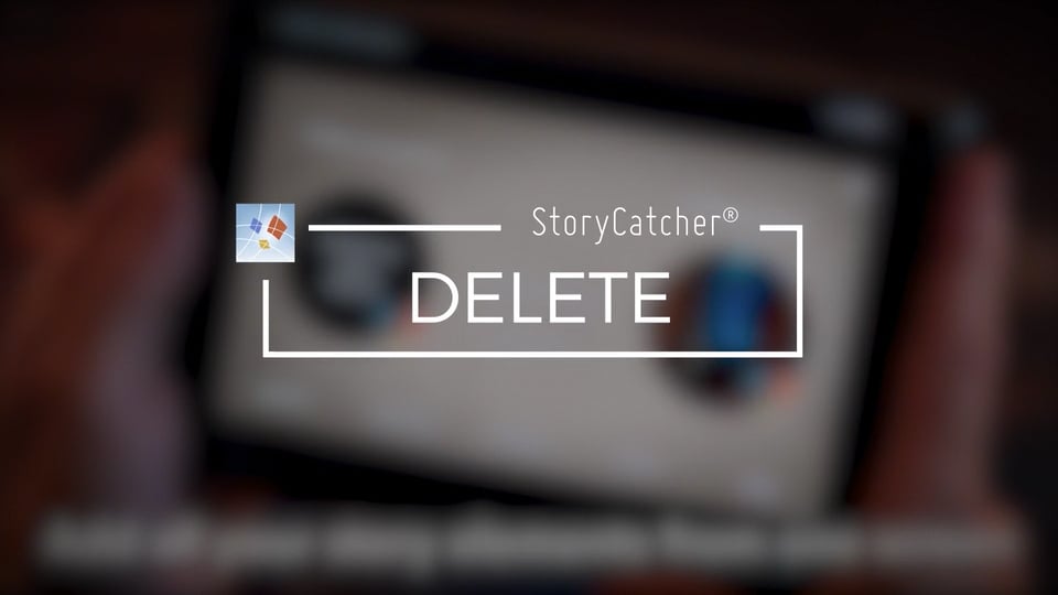 Delete | StoryCatcher® Demo
