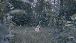 TORG | Trailer