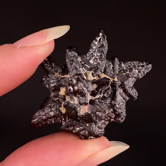 Hematite pseudomorph after Marcasite (classic material)