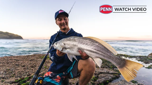 PENN® Prevail Apex Rod – Fishing R Us