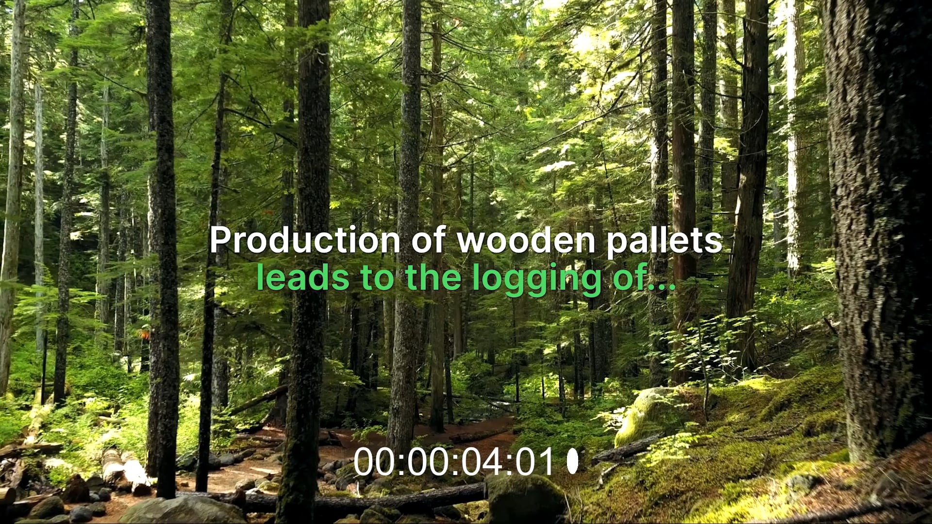HOLDEN Pallets ENG on Vimeo