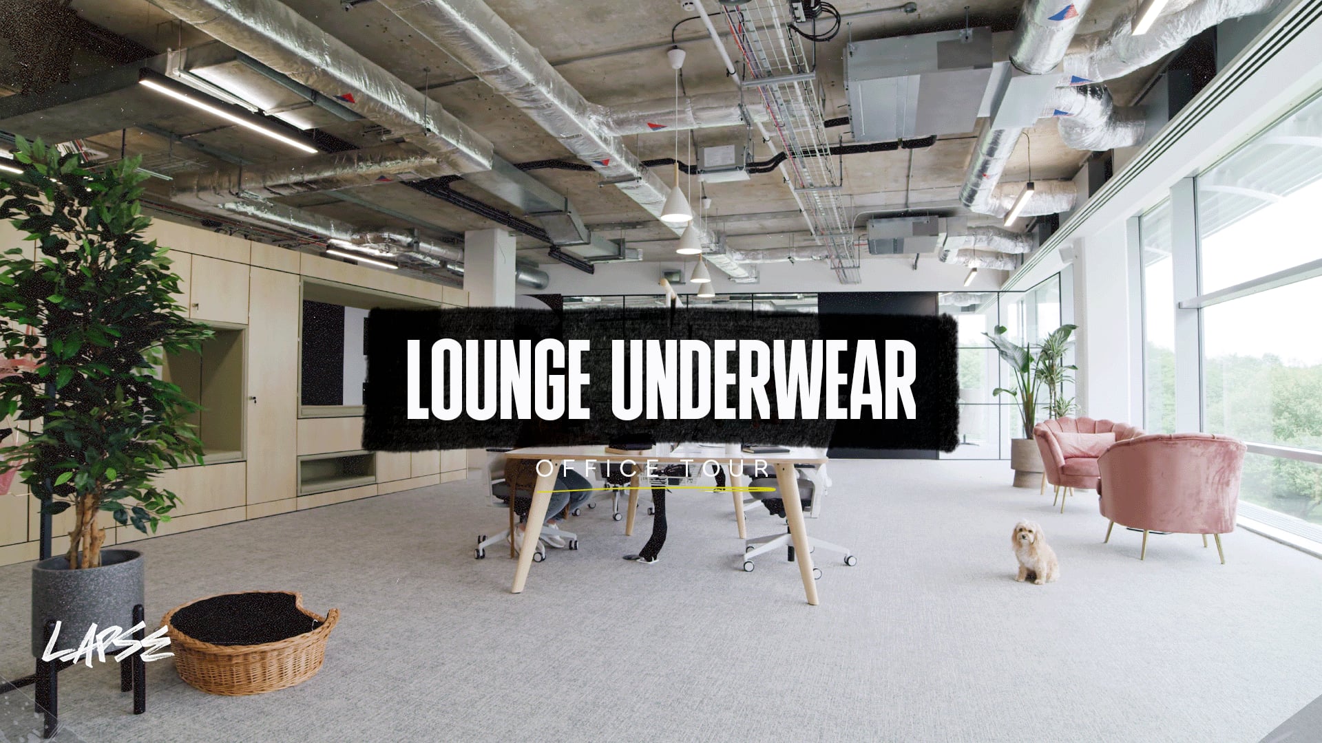 Office Principles x Lounge Underwear - HQ Walk-through