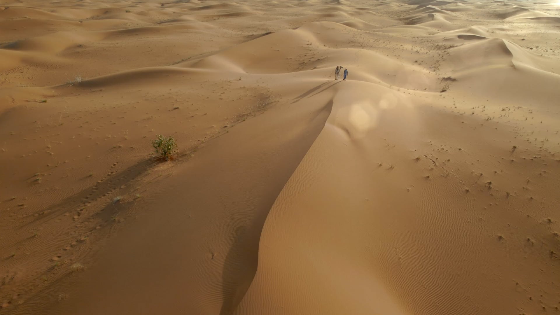 Sawani - Sands of Time