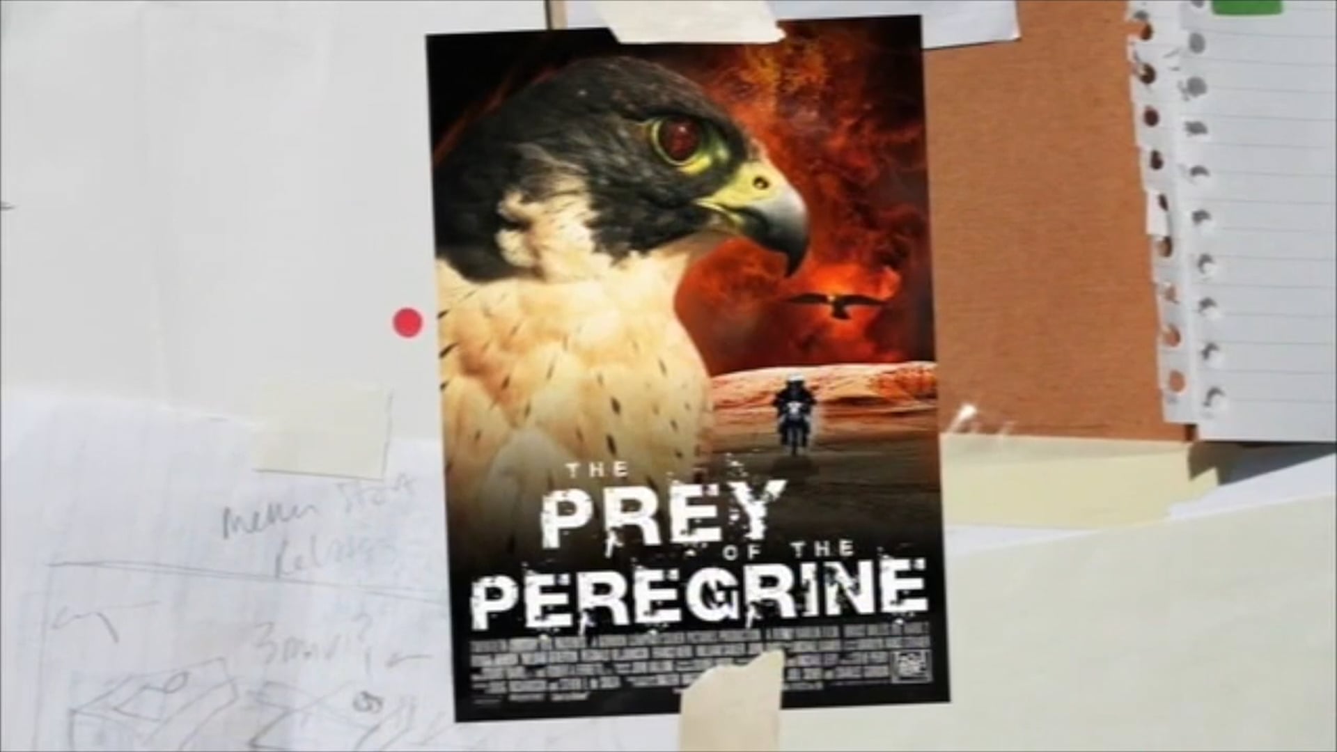 PEREGRINE PREY