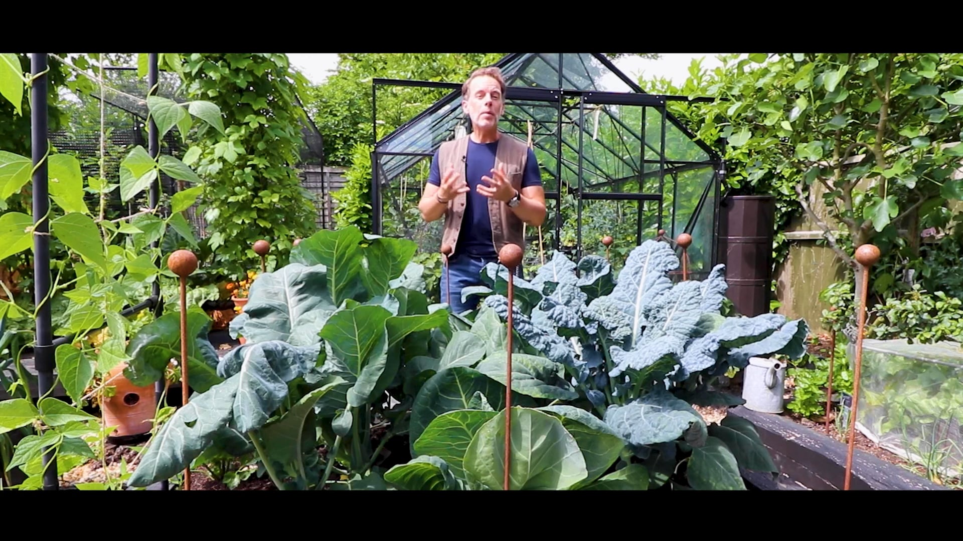 Horticulture Magazine - How to Grow Cabbages