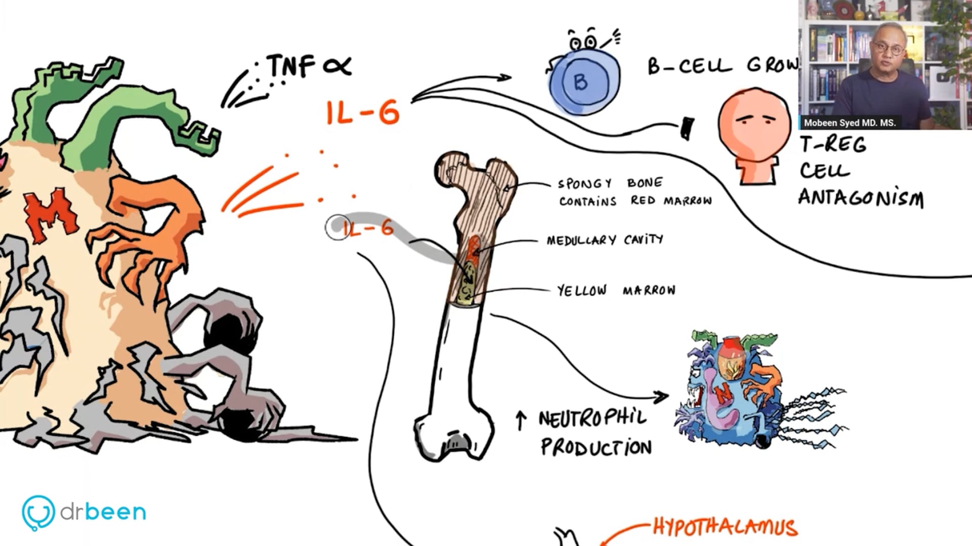 Labs to Verify Neurological Toxicity in Long COVID