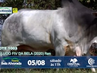 LOTE ESPECIAL - VELUDO FIV DA BELA