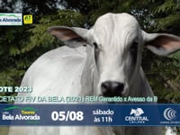 LOTE ESPECIAL - ACETATO FIV DA BELA