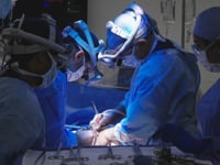 Newswise:Video Embedded ut-southwestern-joins-elite-honor-roll-of-nation-s-top-20-hospitals