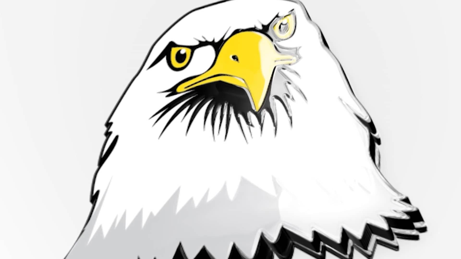 Meadow Wood Elementary on Vimeo