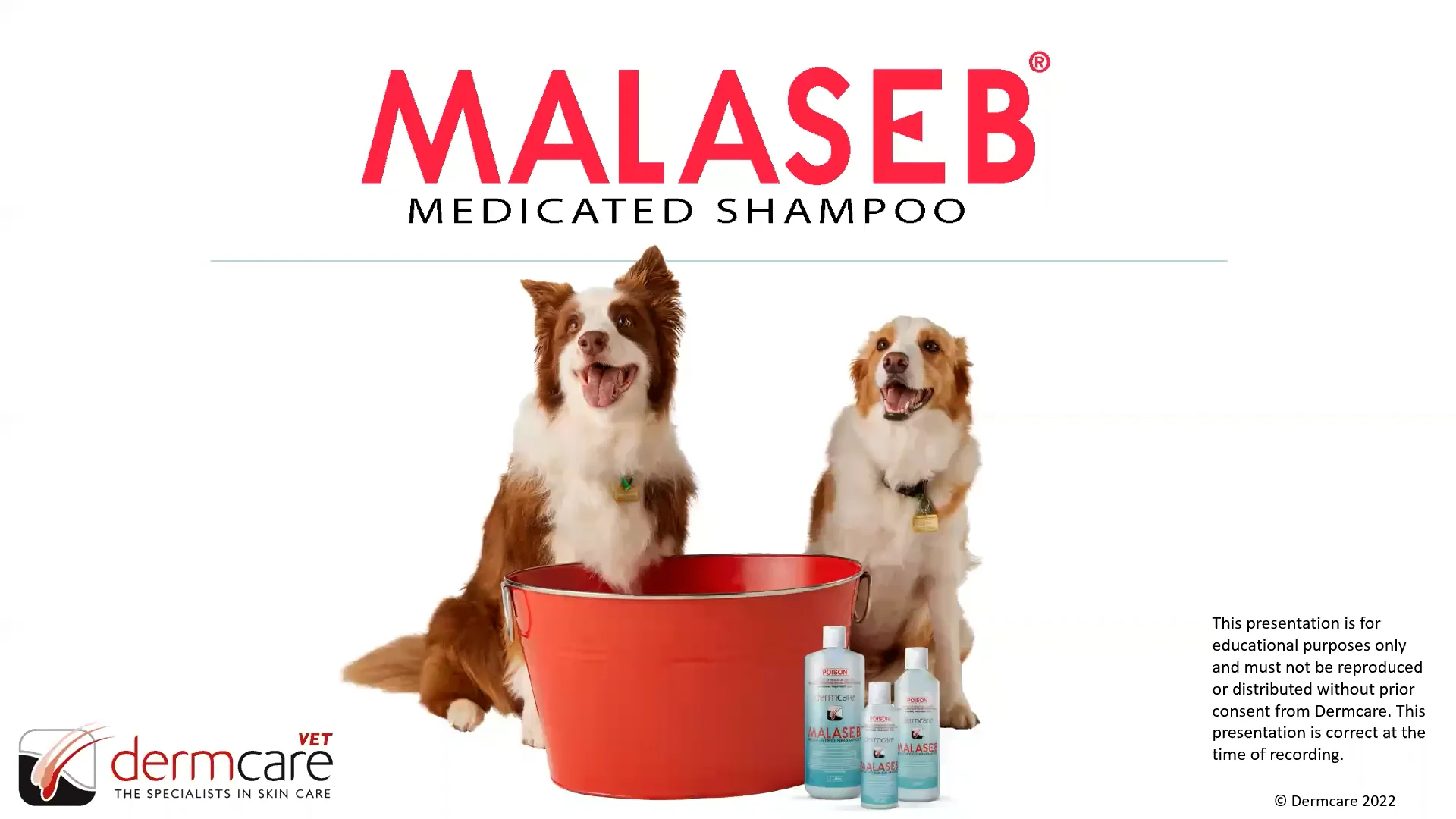 Dermcare malaseb medicated clearance shampoo