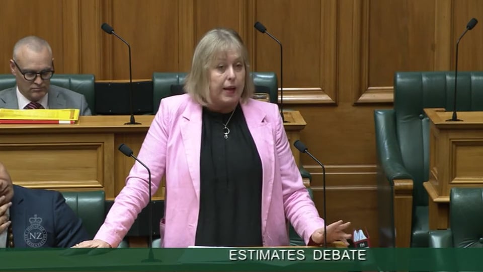 Estimates Debate Committee Stage Video 99 on Vimeo