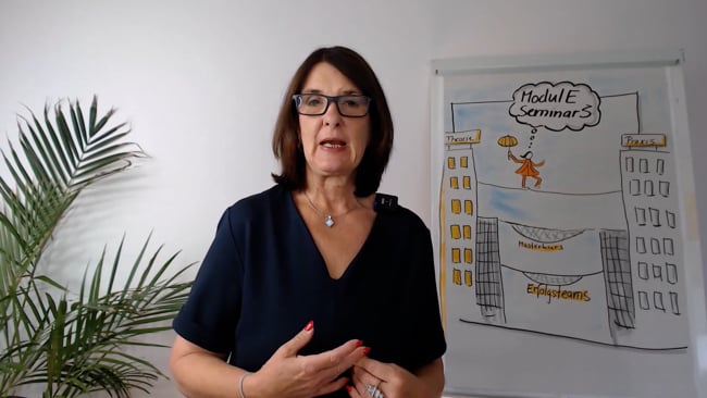 41 - Einführung Transfererfolg