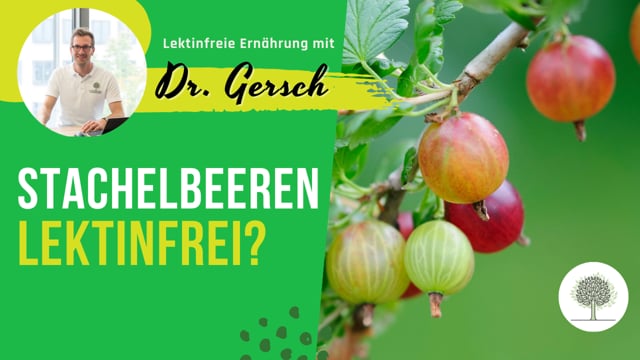 Sind Stachelbeeren lektinfrei?