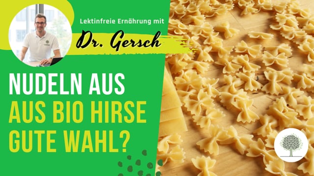 Sind Nudeln aus Bio-Hirse eine gute lektinfreie Wahl, oder gibt es da Bedenken? 