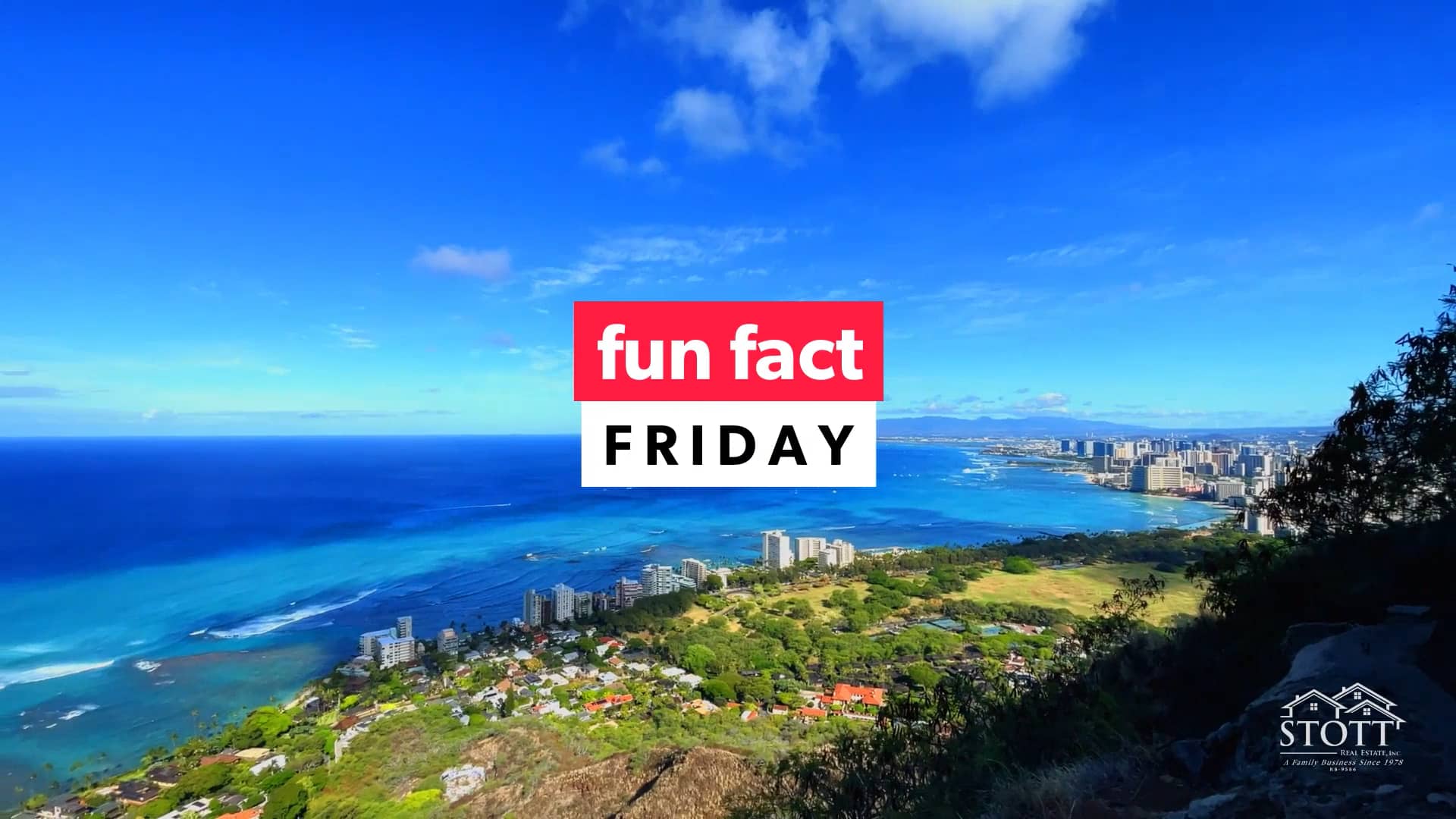 Fun Fact Friday Fire dancing Stott Real Estate, Inc. on Vimeo