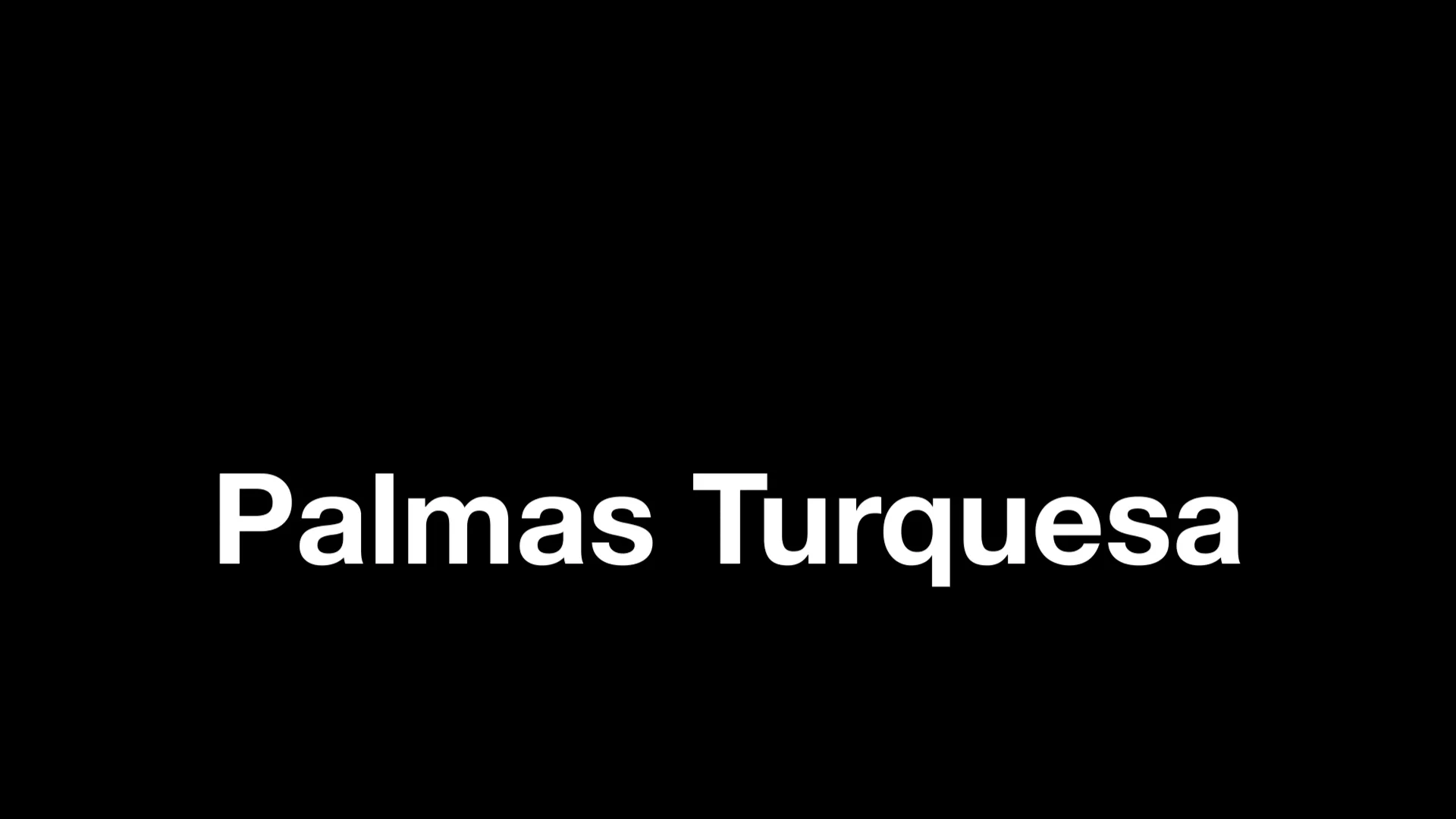 s415-palmas-turquesa-sem-31