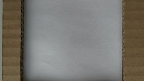 WLV Animation Socioty