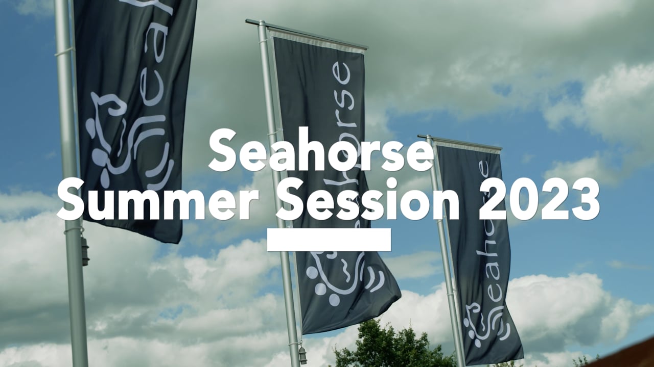 Trailer_Seehorse_Summer_Session_2023