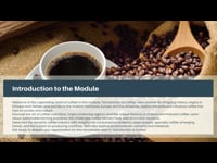 Introduction to Coffee