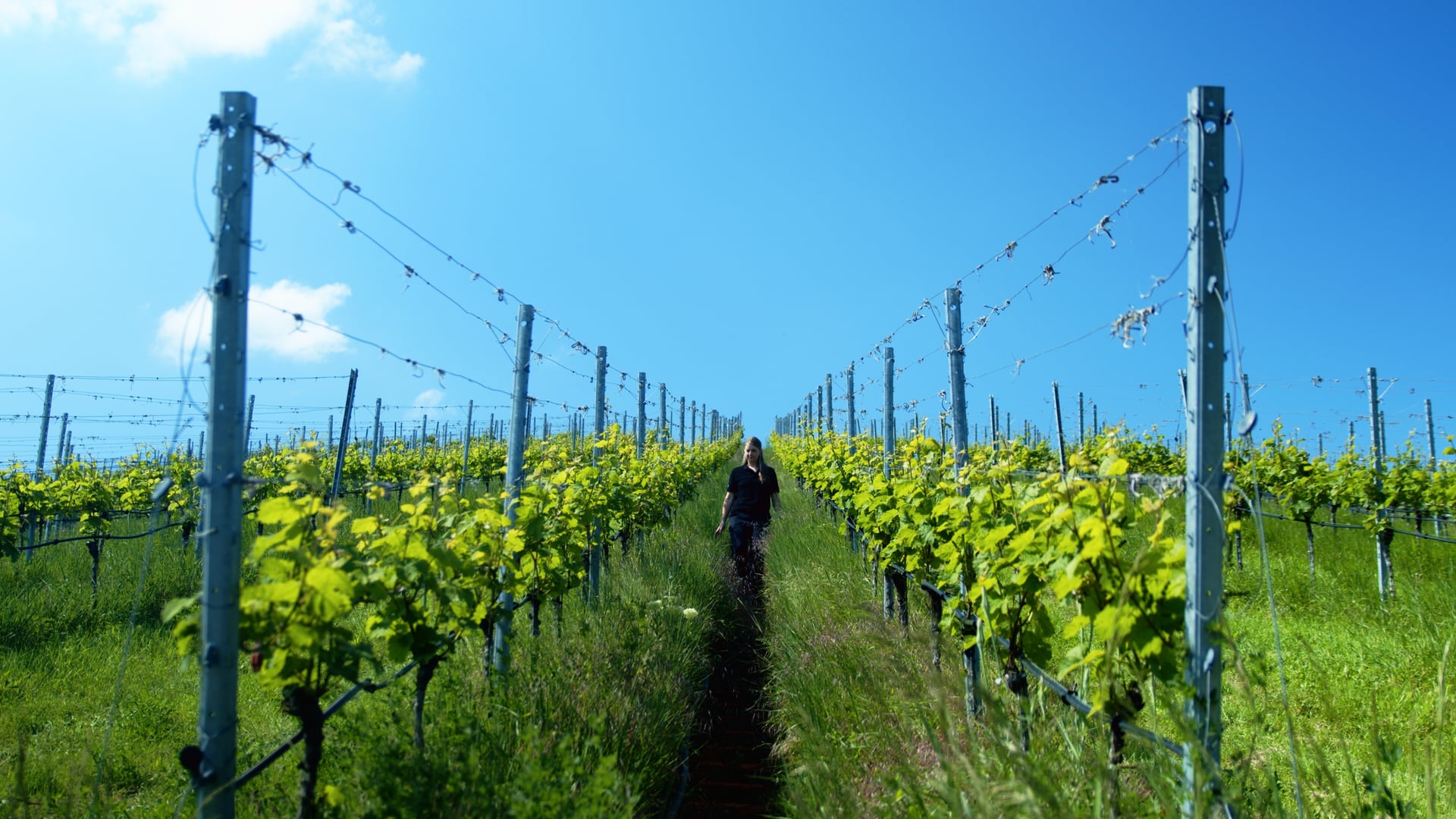 Weingut Schwarz