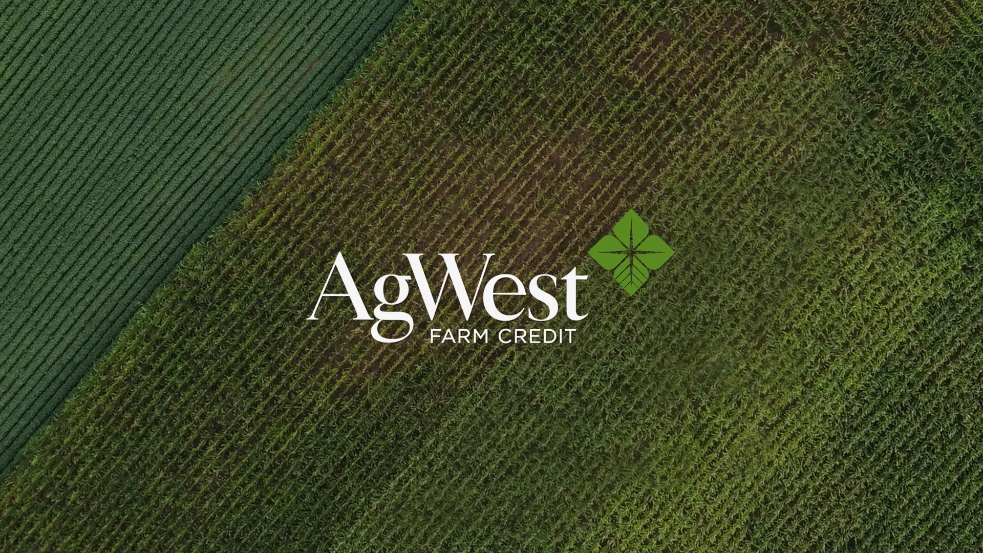 AgWest LAC Guided Giving