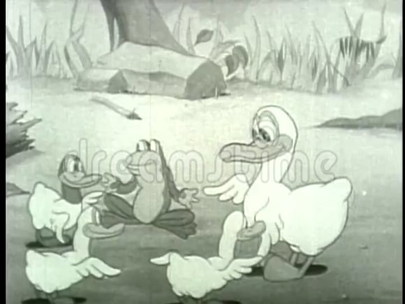 Duck play on Vimeo