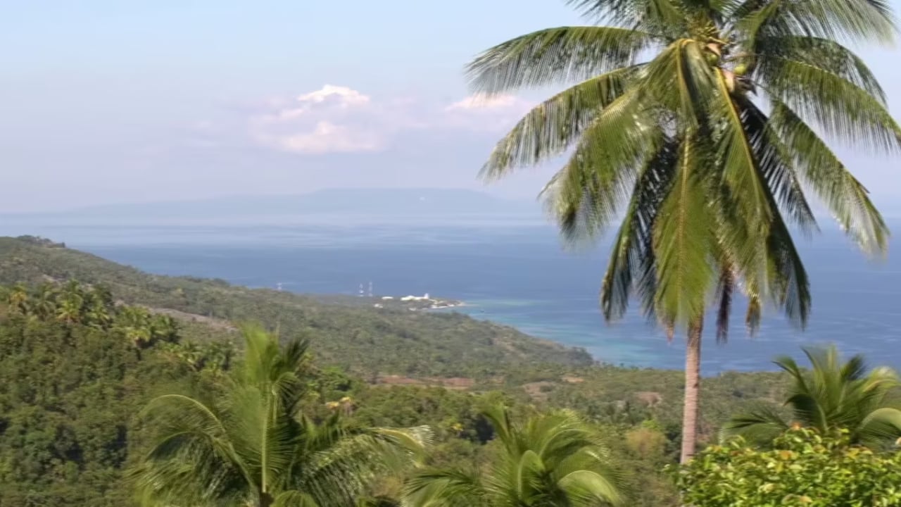 Giants of Fortune - The Whale Sharks of Oslob