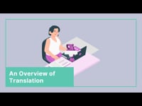 An Overview of Translation