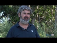 Demostración de tratamento con dron
