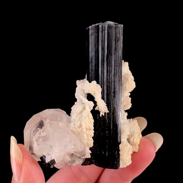 Schorl with Albite and Quartz